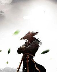 斗罗:青鸾长鸣,风啸破空